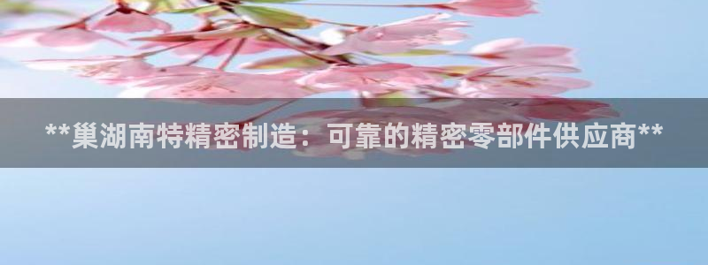 彩神viii官网：**巢湖南特精密制造：可靠的精密零部件供应商**