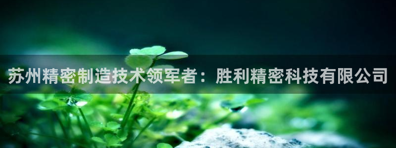 彩神到底能不能赚钱：苏州精密制造技术领军者：胜利精密科技有限公司