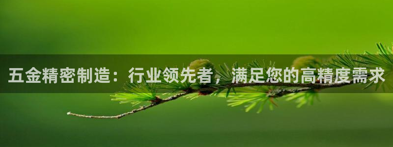 彩神8官网版：五金精密制造：行业领先者，满足您的高精度需求