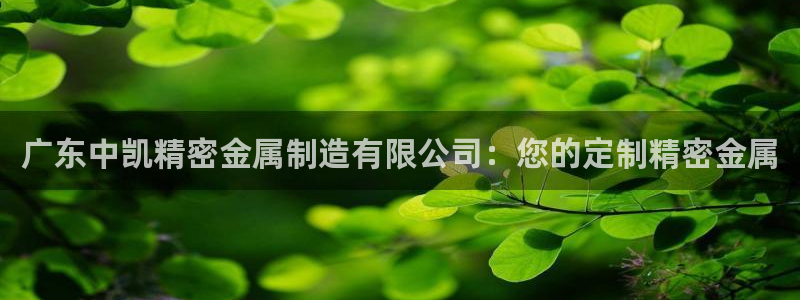 下载彩神乐发V1：广东中凯精密金属制造有限公司：您的定制精密金属