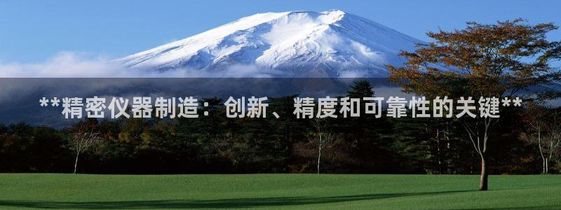 彩神赢的钱是哪里来的啊：**精密仪器制造：创新、精度和可靠性的关键**