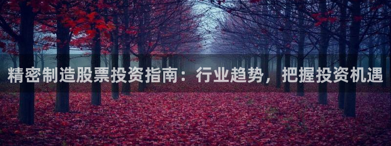 彩神vⅲ下载安装：精密制造股票投资指南：行业趋势，把握投资机遇
