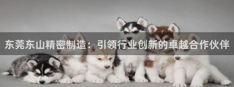 彩神8是正规平台吗知乎