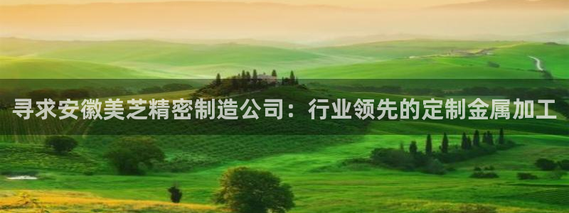 彩神ⅴll是什么样平台