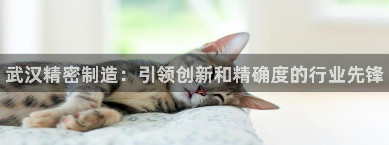 彩神iv能赚钱吗