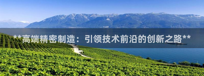 彩神ix官网是哪个公司的