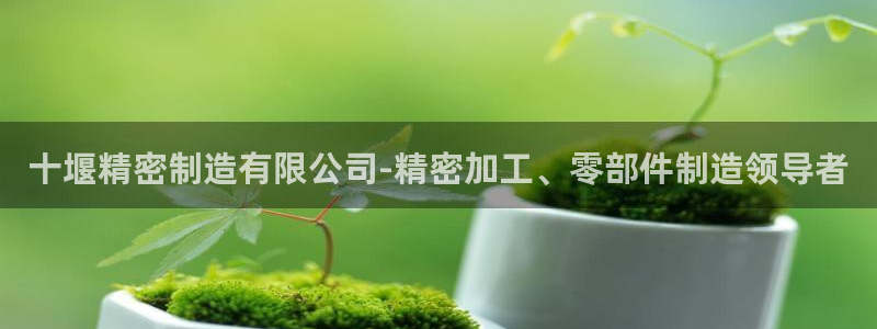 彩神vip购彩大厅下载