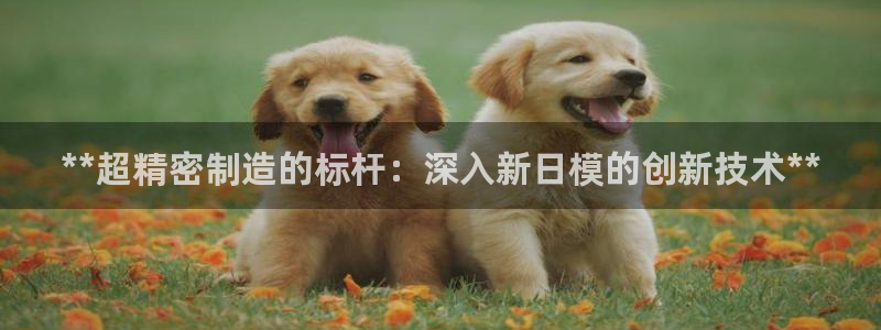 彩神Vii购彩-购彩大厅