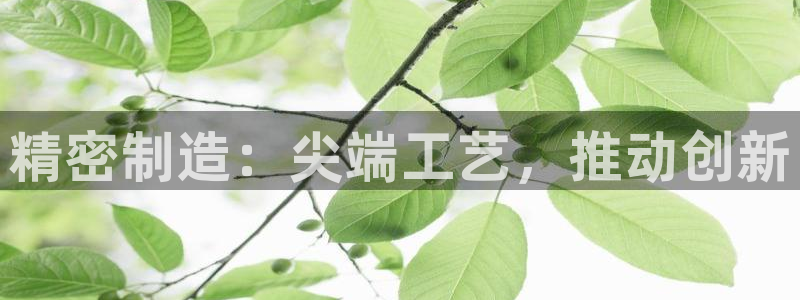 彩神赢钱了吗