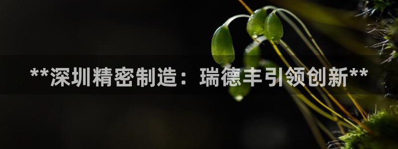 彩神v8下载app