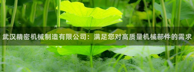 彩神v大众娱乐