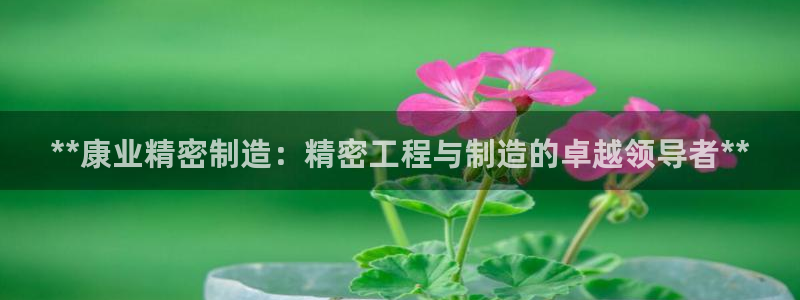 彩神平台可以破解吗