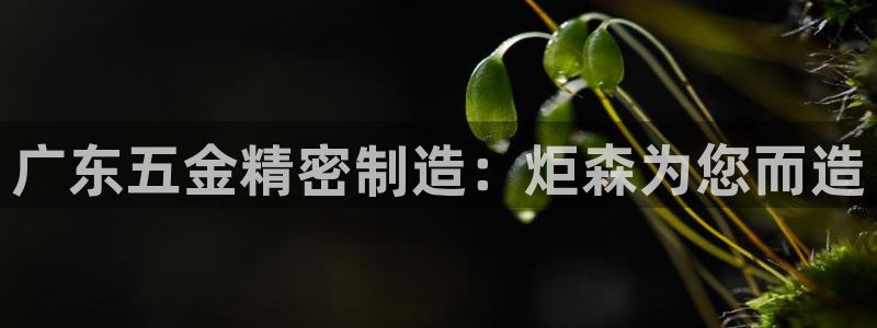彩神争霸官方登录