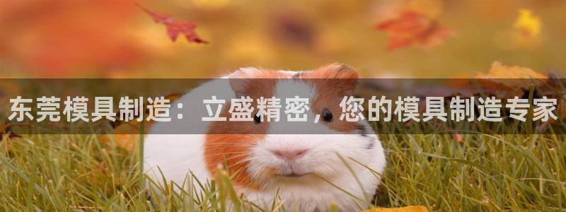 彩神平台