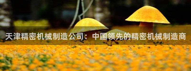 彩神ⅴll用户登录