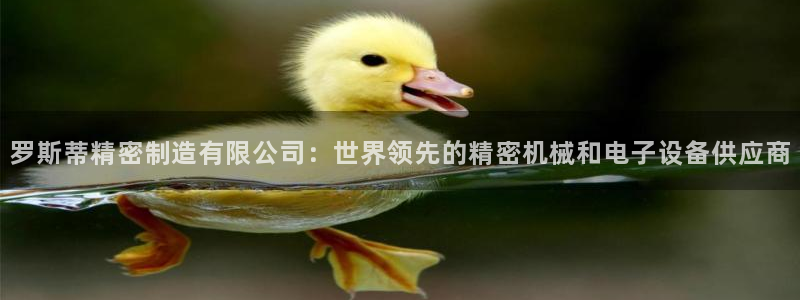 彩神用户登录