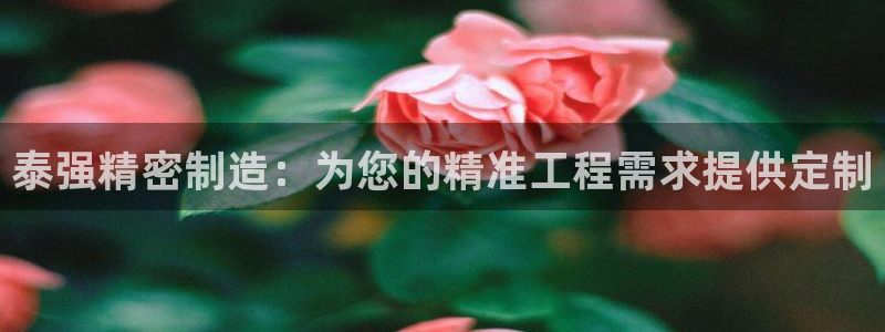 彩神大发cp