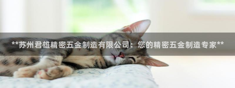下载彩神通关注码