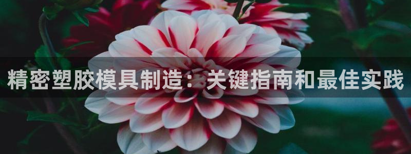 彩神v8手机客户端怎么下载