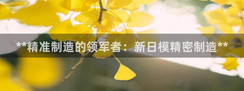 彩神8官网版：**精准制造的领军者：新日模精密制造**