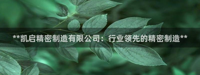 彩神vl购彩大厅：**凯启精密制造有限公司：行业领先的精密制造**