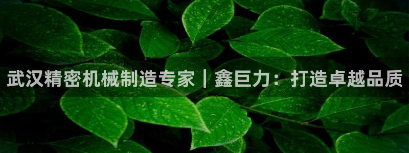 天天彩神welcome：武汉精密机械制造专家｜鑫巨力：打造卓越品质