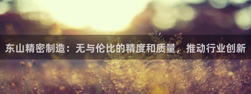 彩神V购彩大厅：东山精密制造：无与伦比的精度和质量，推动行业创新
