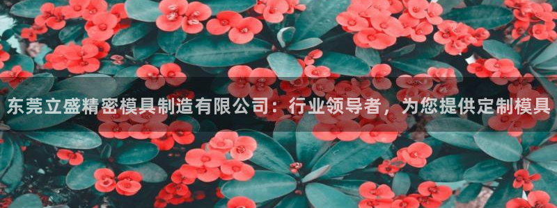 彩神平台：东莞立盛精密模具制造有限公司：行业领导者，为您提供定制模具