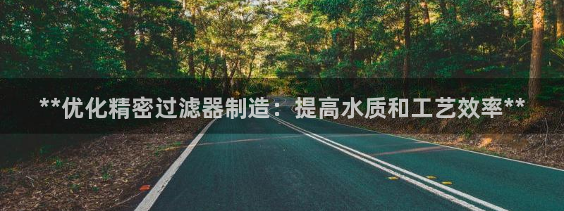 彩神vlll游戏特色：**优化精密过滤器制造：提高水质和工艺效率**