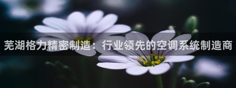 彩神vi争霸官网：芜湖格力精密制造：行业领先的空调系统制造商