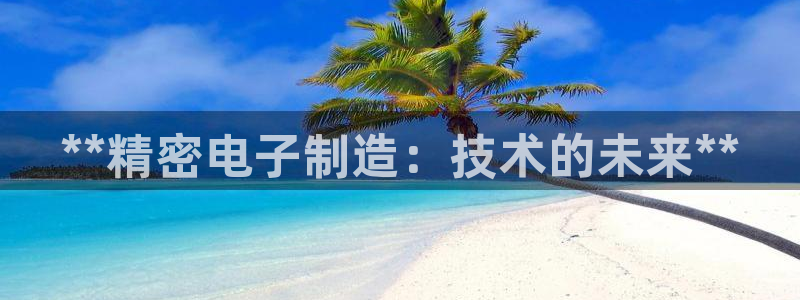 彩神VI首页：**精密电子制造：技术的未来**