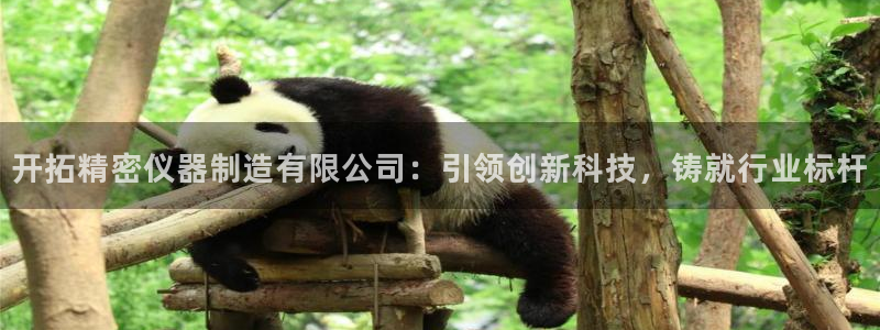 彩神8是正规平台吗安全吗：开拓精密仪器制造有限公司：引领创新科技，铸就行业标杆