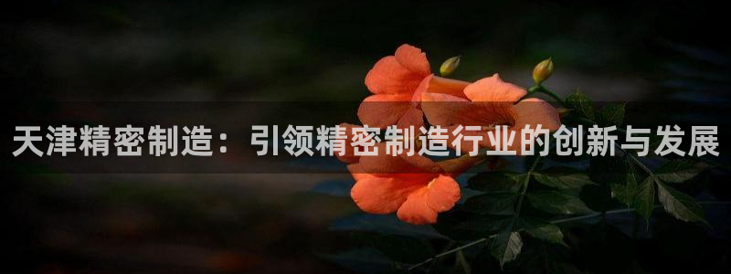 彩神vii购彩l心：天津精密制造：引领精密制造行业的创新与发展