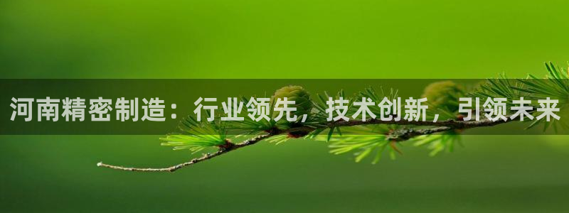 彩神怎么才能赢：河南精密制造：行业领先，技术创新，引领未来