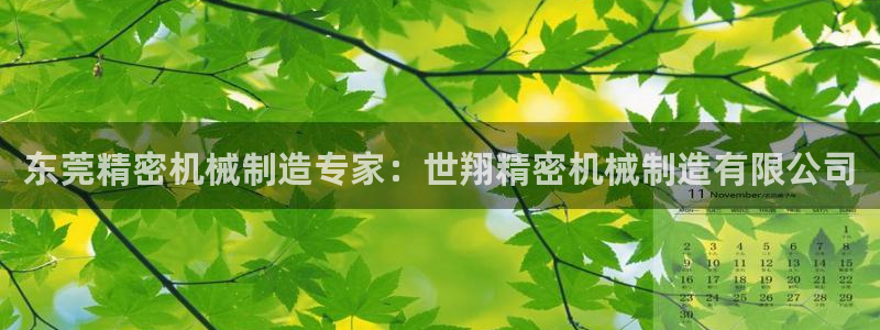 彩神争霸官方下载：东莞精密机械制造专家：世翔精密机械制造有限公司