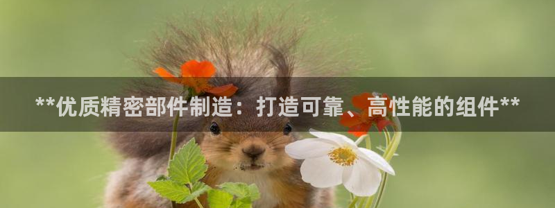 v大发彩神8iii：**优质精密部件制造：打造可靠、高性能的组件**