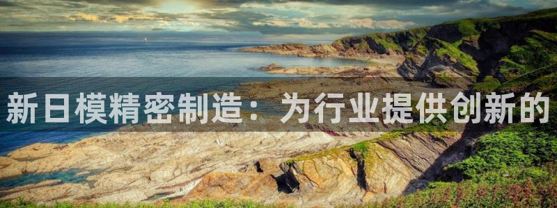 彩神vll官网在线登录：新日模精密制造：为行业提供创新的