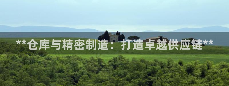 彩神8彩平台官网：**仓库与精密制造：打造卓越供应链**