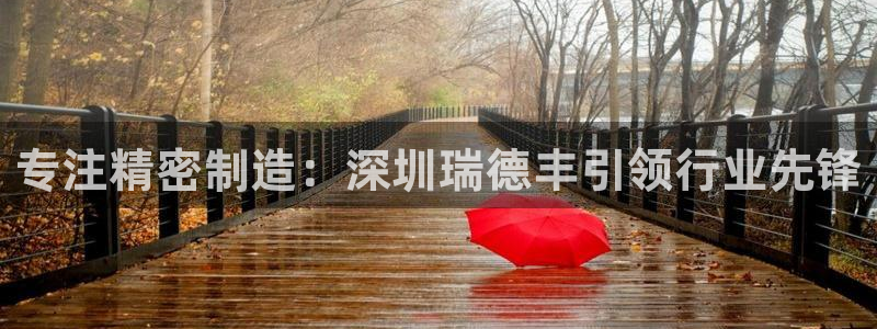 彩神ⅴll是什么样平台：专注精密制造：深圳瑞德丰引领行业先锋