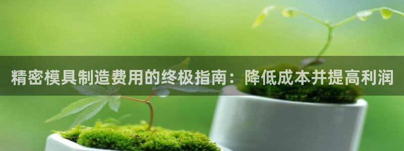 彩神数码科技有限公司：精密模具制造费用的终极指南：降低成本并提高利润