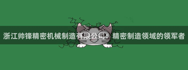 彩神v8平台正规吗安全吗：浙江帅锋精密机械制造有限公司：精密制造领域的领军者