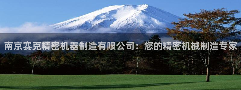 彩神viii下载安卓：南京赛克精密机器制造有限公司：您的精密机械制造专家