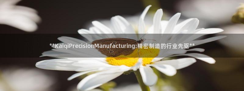 彩神app能挣到钱吗：**KaiqiPrecisionManufacturing:精密制造的行业先驱**