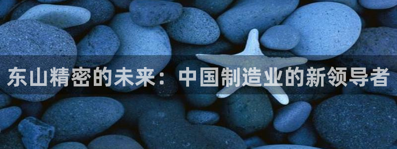 彩神vlll游戏特色：东山精密的未来：中国制造业的新领导者