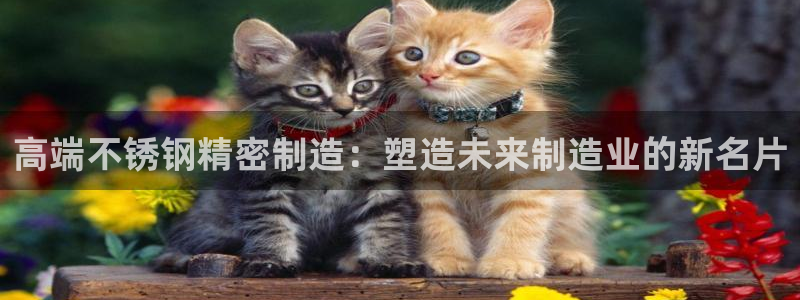 彩神可以提现吗：高端不锈钢精密制造：塑造未来制造业的新名片