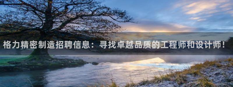 彩神vip官方网站：格力精密制造招聘信息：寻找卓越品质的工程师和设计师！