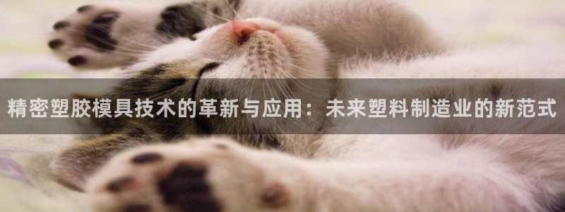 彩神v8下载app：精密塑胶模具技术的革新与应用：未来塑料制造业的新范式