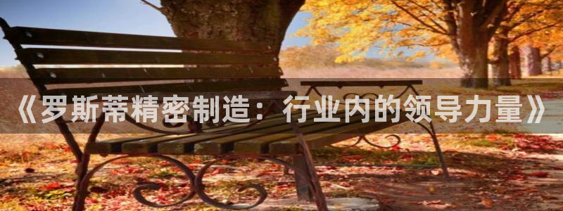 彩神vip购彩大厅下载：《罗斯蒂精密制造：行业内的领导力量》