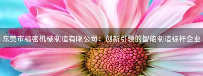 彩神大发cp：东莞市精密机械制造有限公司：创新引领的智能制造标杆企业