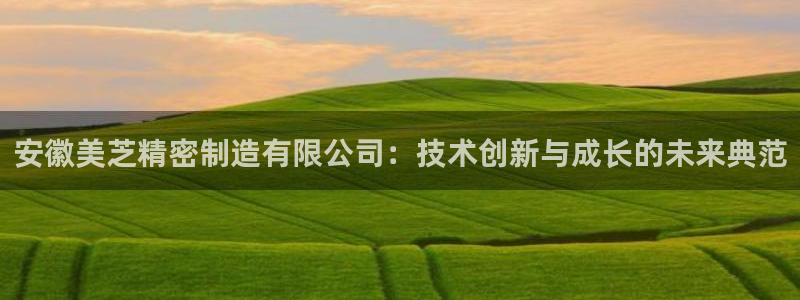 彩神争霸官网登录平台：安徽美芝精密制造有限公司：技术创新与成长的未来典范